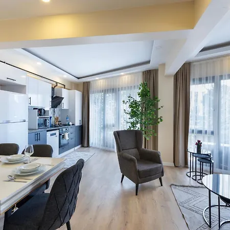 Zen Homes Piyalepasa Apartmán Istanbulská provincie