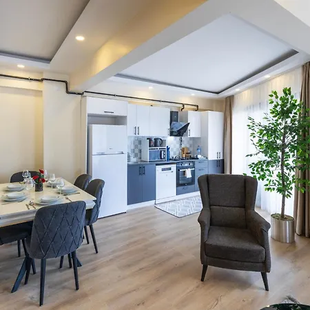 Zen Homes Piyalepasa Apartmán