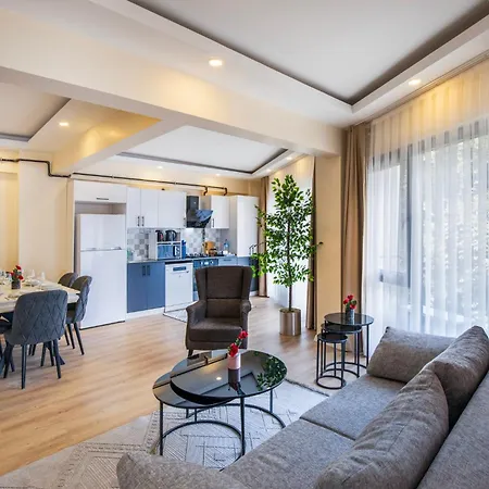 Zen Homes Piyalepasa Apartmán Istanbulská provincie